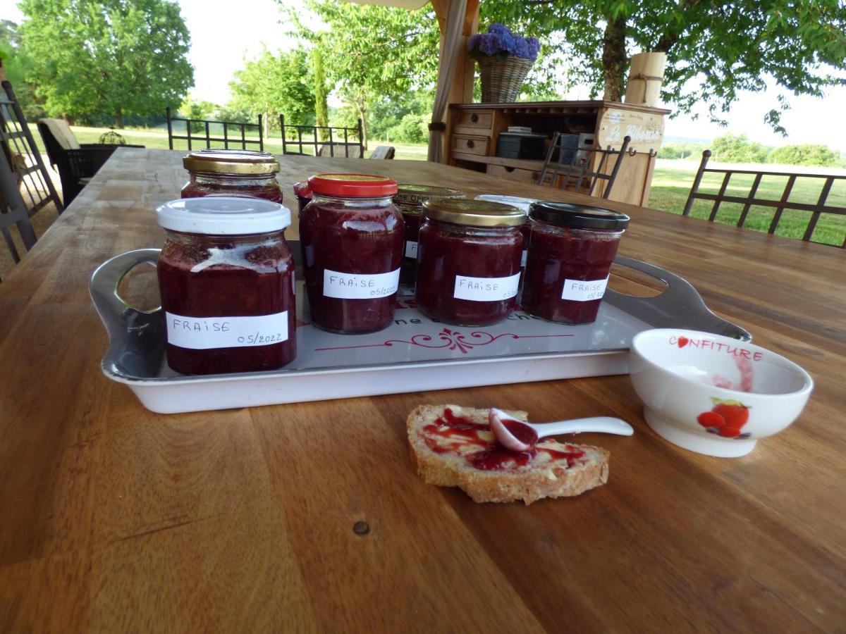 Britavit Bed & Breakfast Saint-Avit-Senieur Luaran gambar