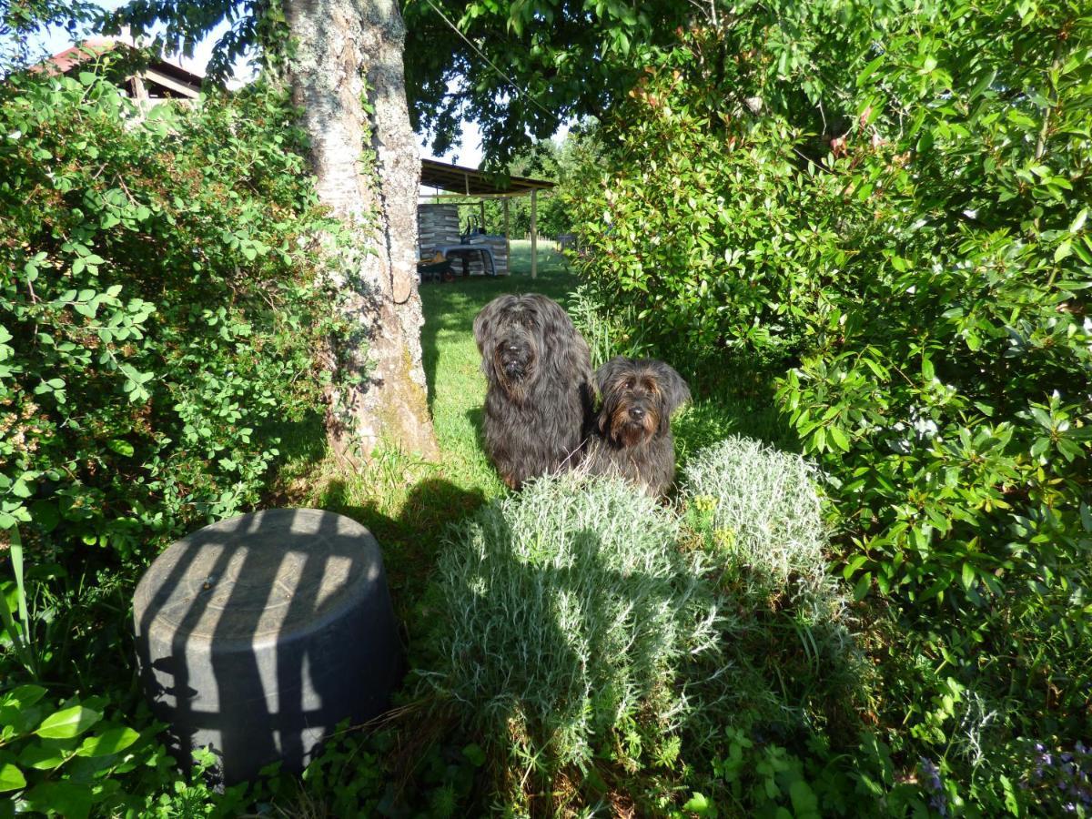 Britavit Bed & Breakfast Saint-Avit-Senieur Luaran gambar